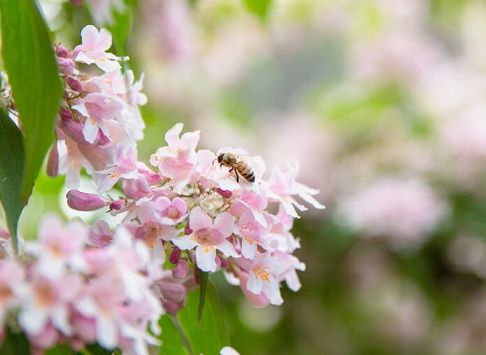 Fostering a love for nature