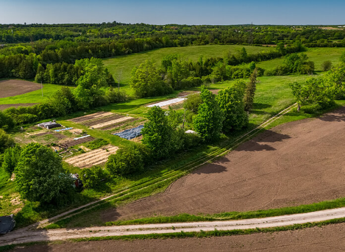 Trent Research Farm