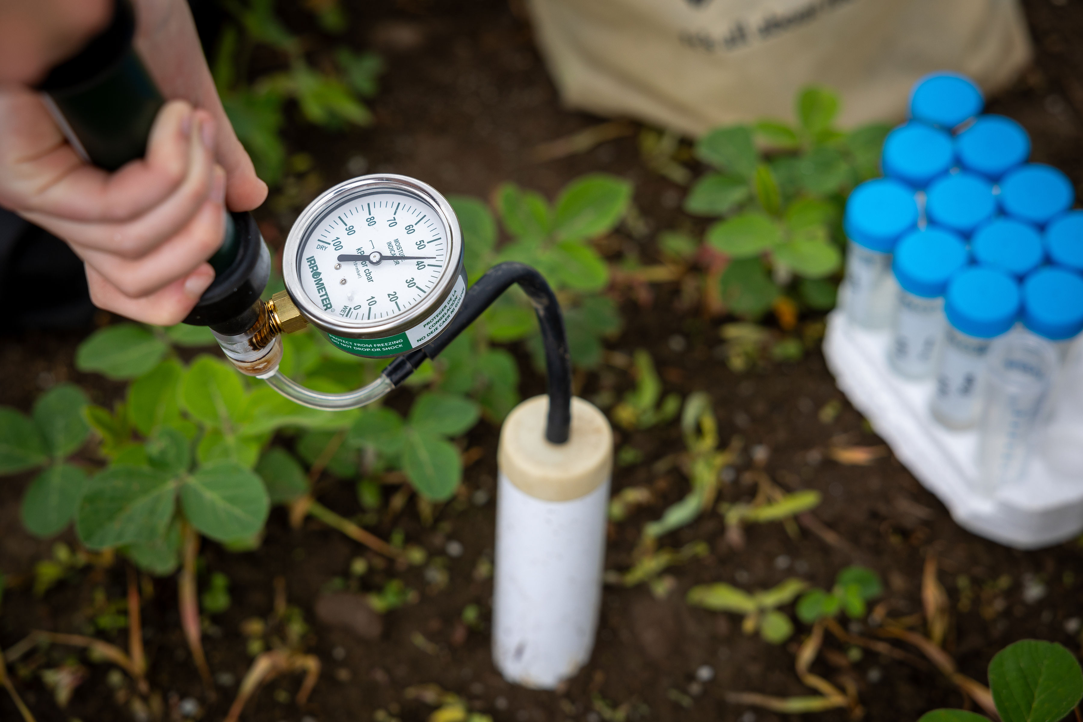 Student taking measurements at research station on Trent farm