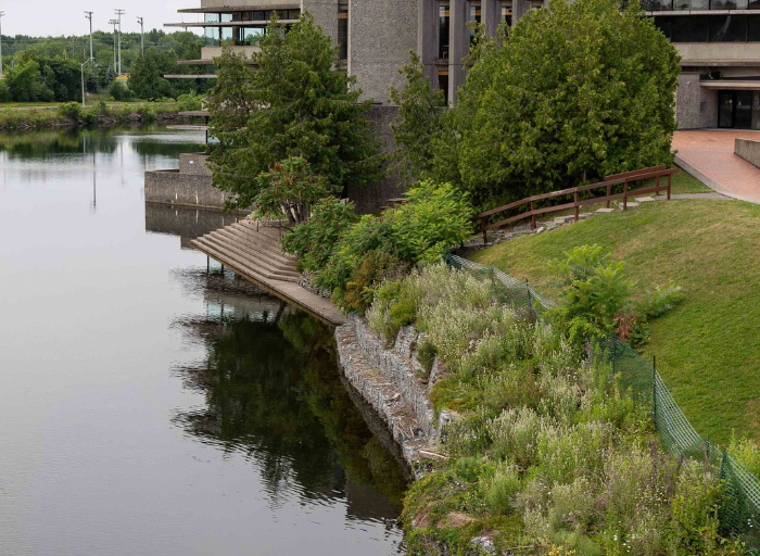 Riverbank beside Bata Library Riverbank beside Bata Library