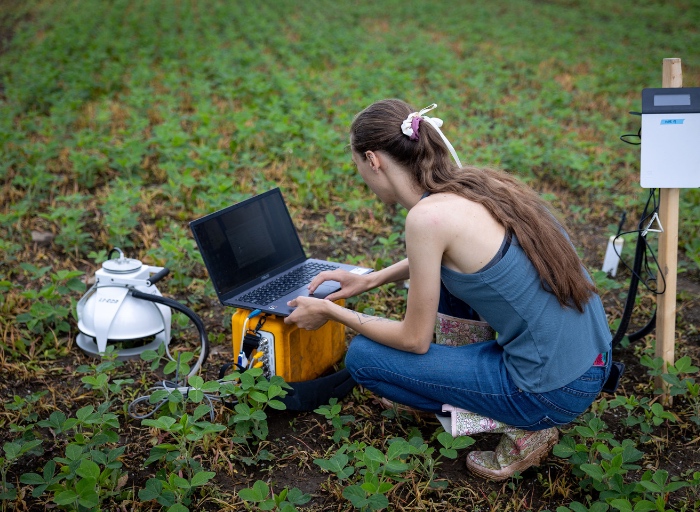 Trent Farm Research Woman working on a laptop at a research station on the Trent farm